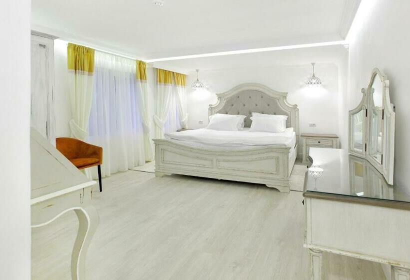 اتاق سوپریور, Excelsior Boutique Hotel Sinaia