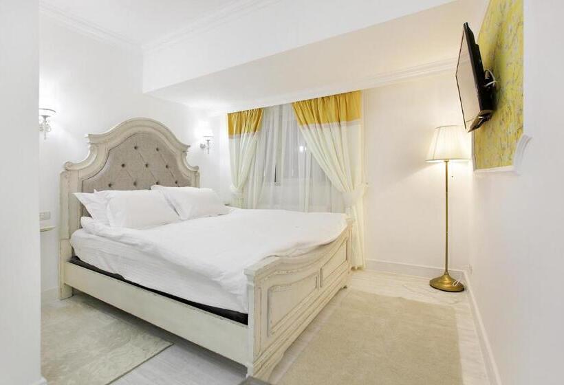 اتاق استاندارد, Excelsior Boutique Hotel Sinaia