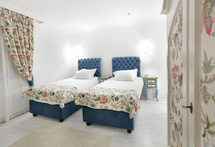 اتاق سوپریور, Excelsior Boutique Hotel Sinaia