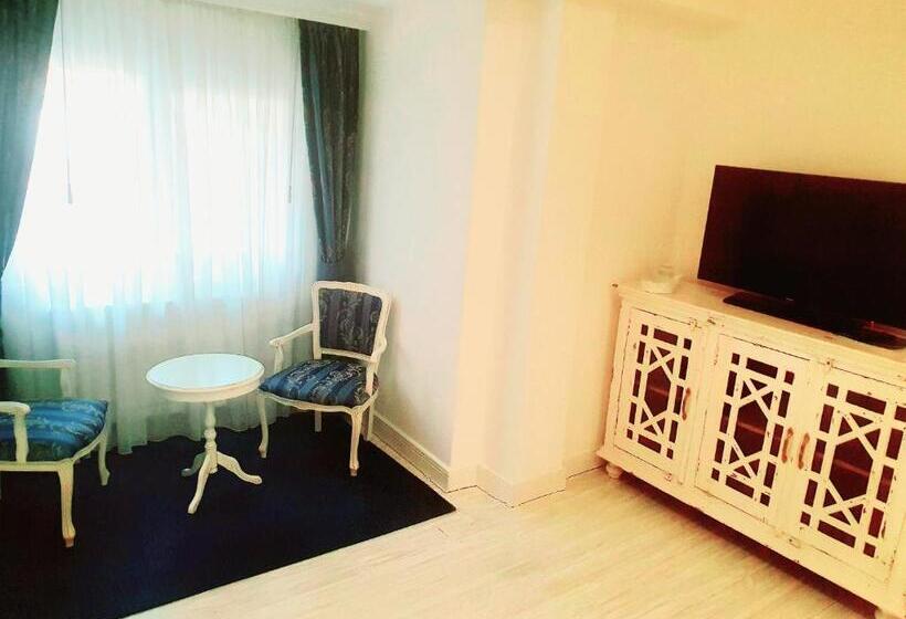آپارتمان 1 خوابه, Excelsior Boutique Hotel Sinaia