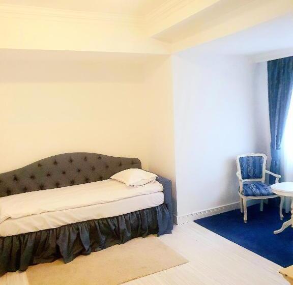 آپارتمان 1 خوابه, Excelsior Boutique Hotel Sinaia