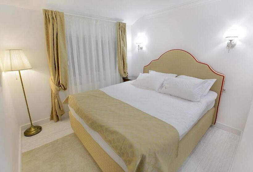 اتاق استاندارد, Excelsior Boutique Hotel Sinaia