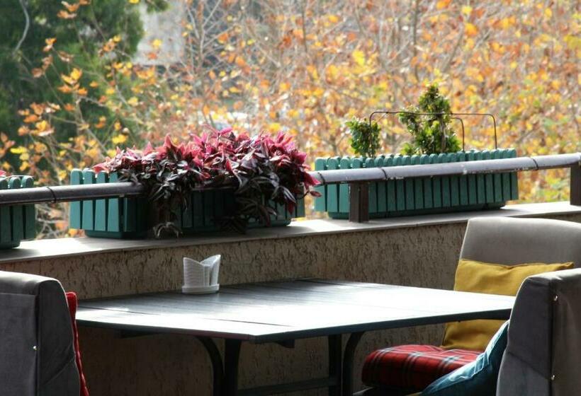اتاق استاندارد, Tskaltubo Hotel Terrace