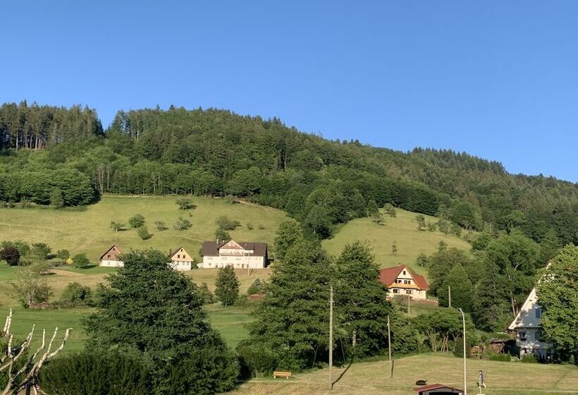 اتاق استاندارد یک نفره, & Restaurant Muhlengluck