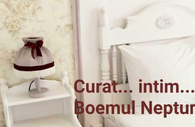 스탠다드 룸, Boemul Neptun