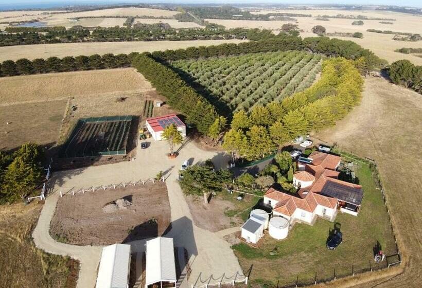 패밀리 룸 바다 전망, Omaru Farm Stay