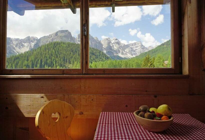 Номер Стандарт, Pension Odles