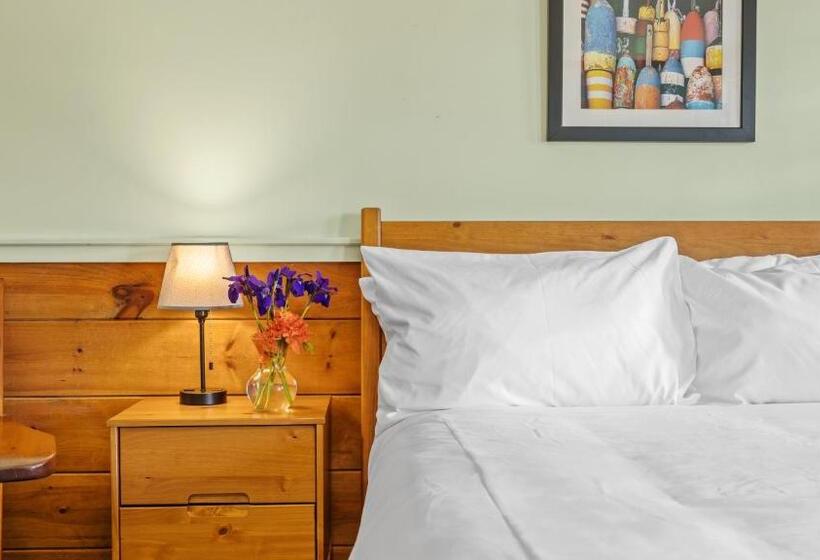 اتاق استاندارد, Mid Town Motel