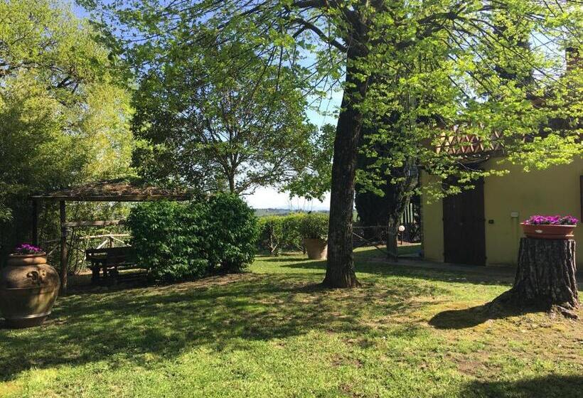 Апартаменты 1 Спальня, Podere Casanova
