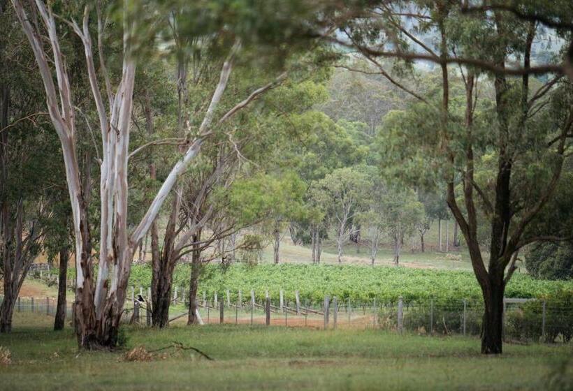 스위트 킹사이즈 침대, Elfin Hill Vineyard Accommodation