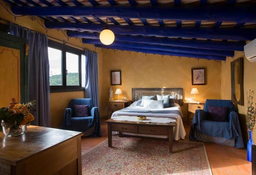 Номер Стандарт с Террасой, Hostal Blau