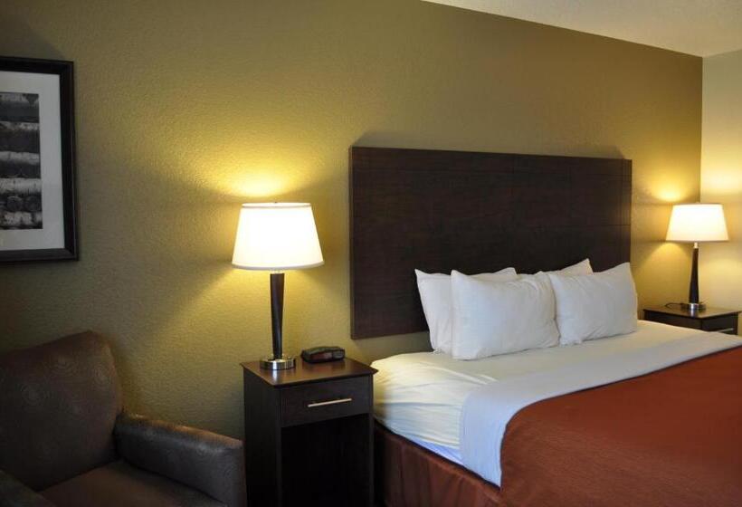 Люкс Кровать Кинг, Spark By Hilton Cedar Falls