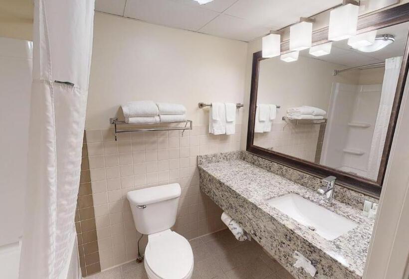 Студио Стандарт Кровать Кинг, Americinn By Wyndham Mounds View Minneapolis
