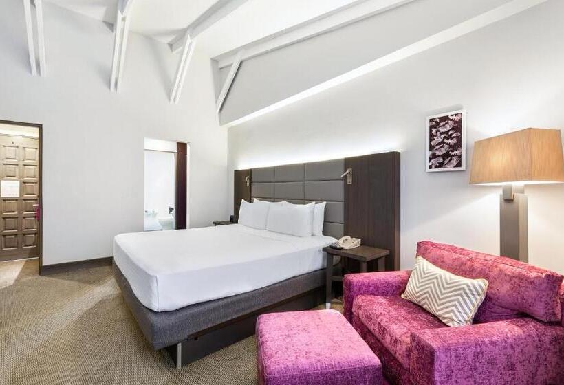 스탠다드 룸 킹사이즈 침대, Crowne Plaza San Jose La Sabana, An Ihg
