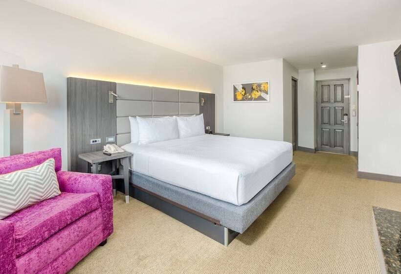 프리미엄 룸, Crowne Plaza San Jose La Sabana, An Ihg