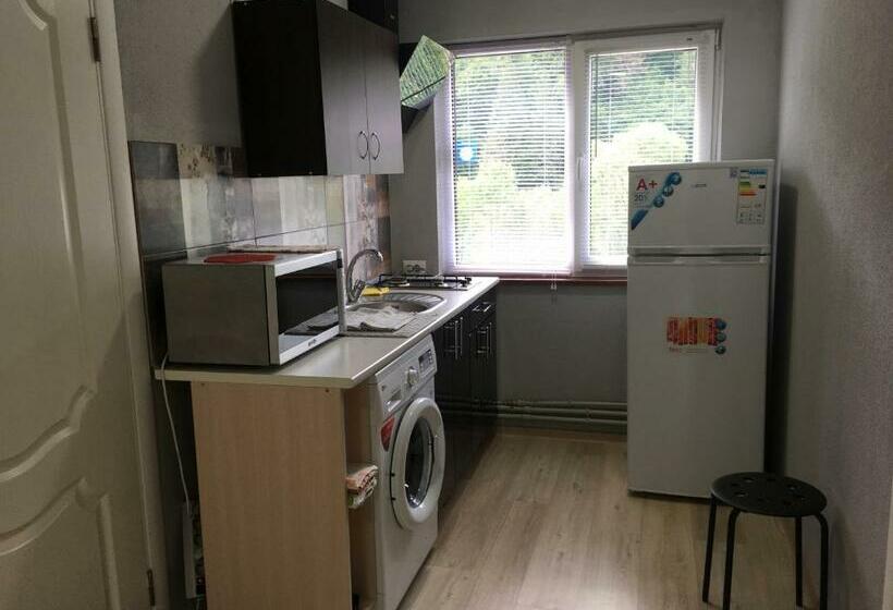 آپارتمان 1 خوابه, Mini Hotel Serpanok