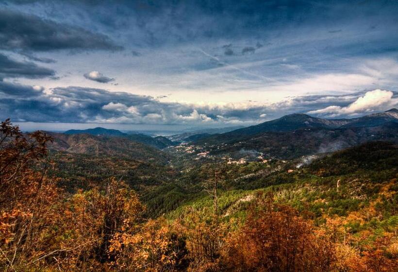Апартаменты 1 Спальня Нижний Этаж, Oasi Verde