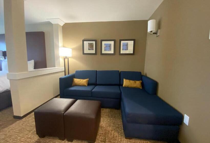 Люкс Адаптированный для Инвалидов, Comfort Suites Midland West