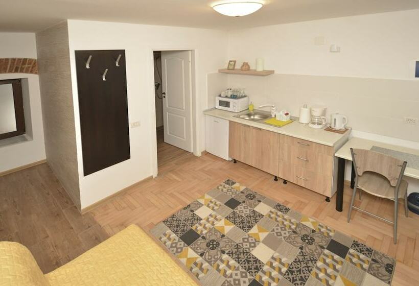 带1个卧室的经典公寓, Casa Roth Apartments