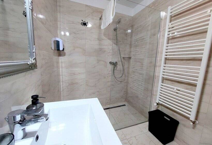 带1个卧室的豪华公寓, Casa Roth Apartments