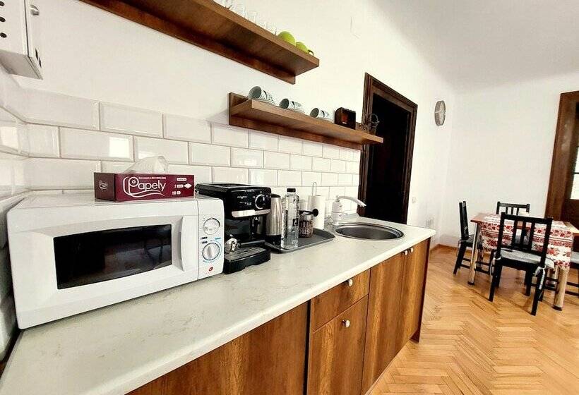 带1个卧室的豪华公寓, Casa Roth Apartments