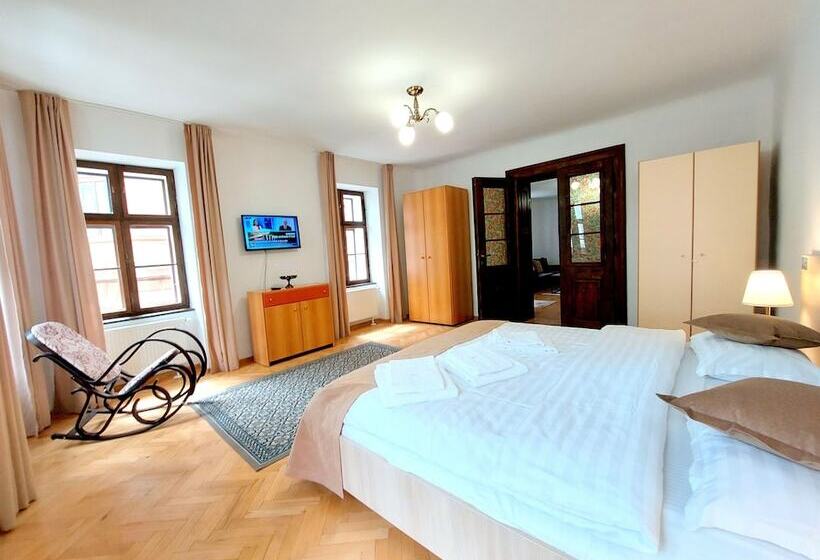 带1个卧室的豪华公寓, Casa Roth Apartments