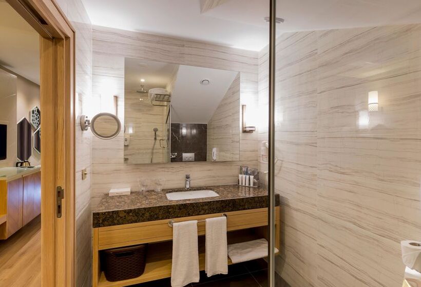 디럭스 패밀리 룸, Swandor Hotels & Resorts   Topkapi Palace