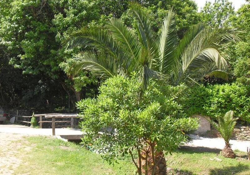 اتاق استاندارد چهار تخته, Le Relais De Sisco