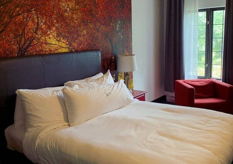 스탠다드 룸 퀸사이즈 침대, L Auberge Du Lac St Pierre