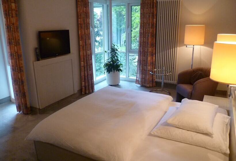 اتاق راحتی یک تخته, Fontana Hotel Wiesbaden