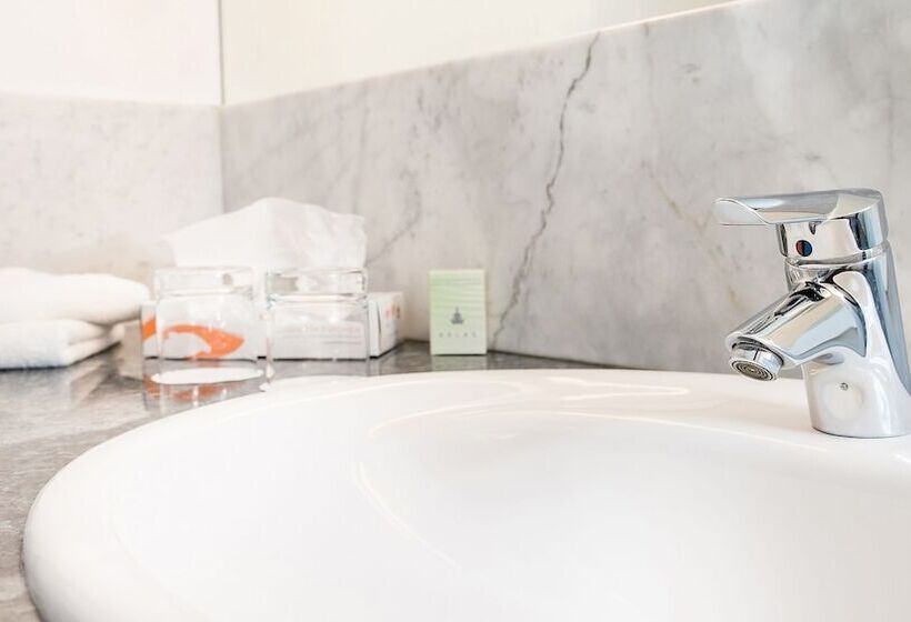 اتاق راحتی یک تخته, Fontana Hotel Wiesbaden