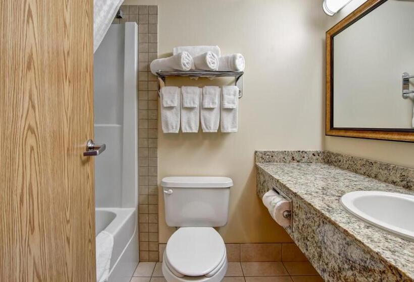 Стандартный Номер Кровать Кинг, Canalta Rocky Mountain House