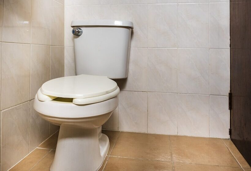 חדר סטנדרט, Capital O Hotel Central, Xalapa