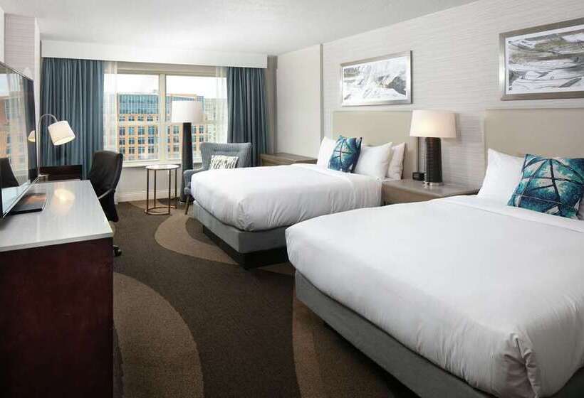 장애인용 디럭스룸, Hilton Los Cabos