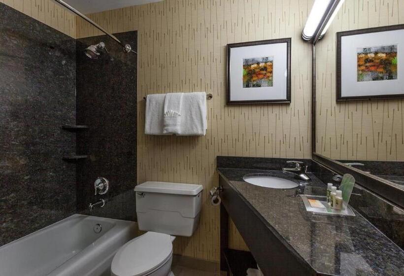 适合残疾人使用的标准间, Holiday Inn Chicago North Evanston, An Ihg