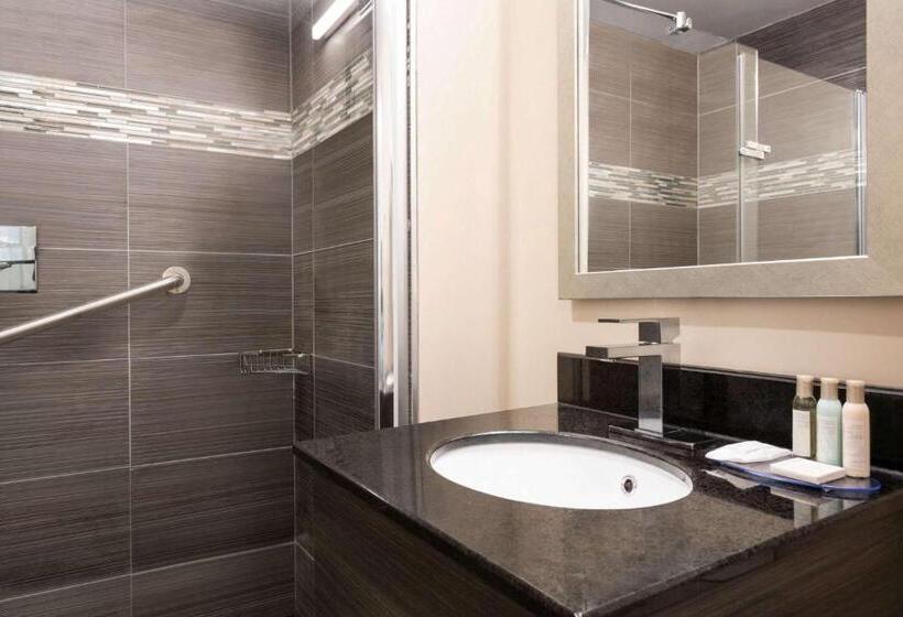 スタンダードルーム, Ramada Plaza By Wyndham Montreal