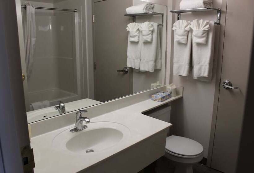 Номер Superior, Divya Sutra Plaza And Conference Centre Calgary Airport