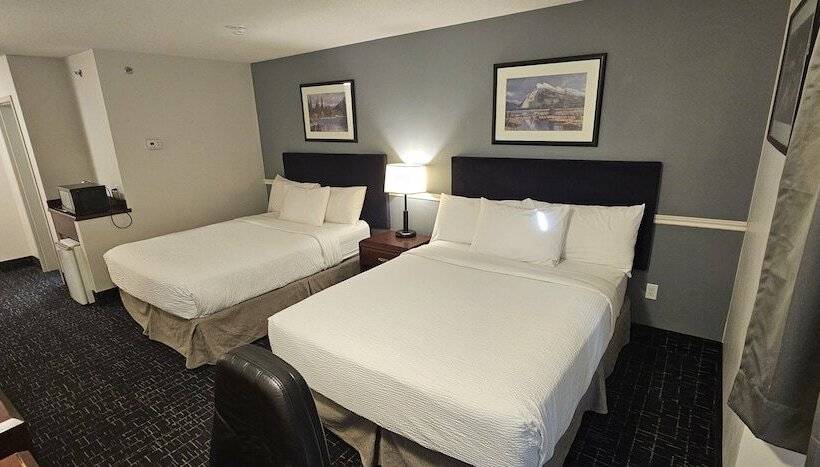 Номер Superior, Divya Sutra Plaza And Conference Centre Calgary Airport
