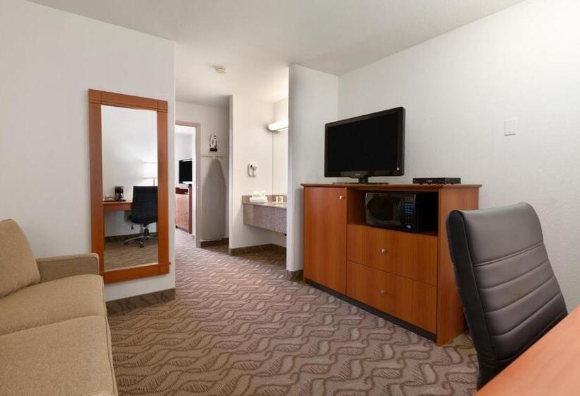 キングサイズベッドのスイートルーム, Super 8 By Wyndham Calgary Shawnessy Area