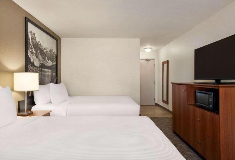 スタンダードルーム, Super 8 By Wyndham Calgary Shawnessy Area