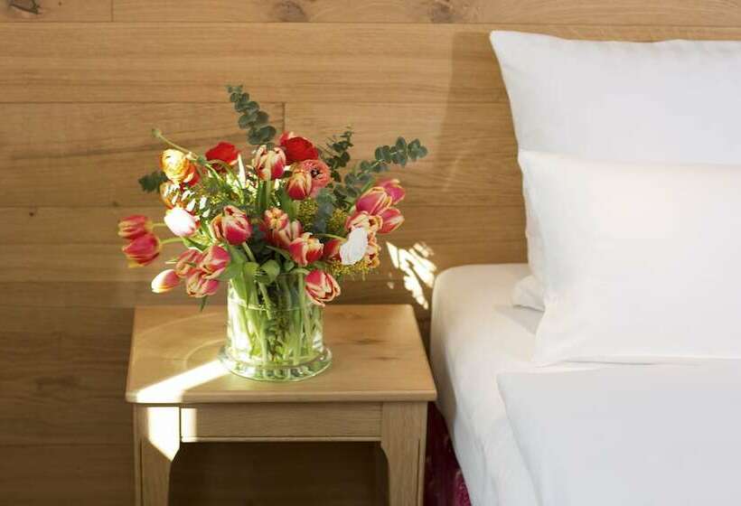 اتاق استاندارد, Eden Hotel Wolff