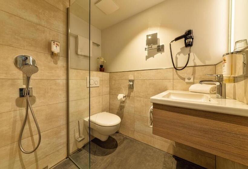 اتاق راحتی یک تخته, Cityclass Hotel Am Heumarkt