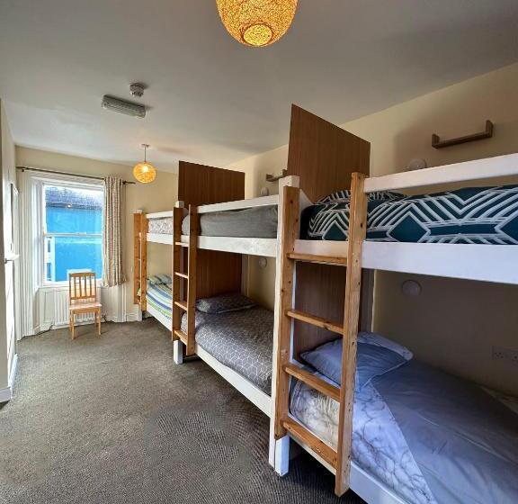 تختخواب در اتاق مشترک, The Grapevine Hostel