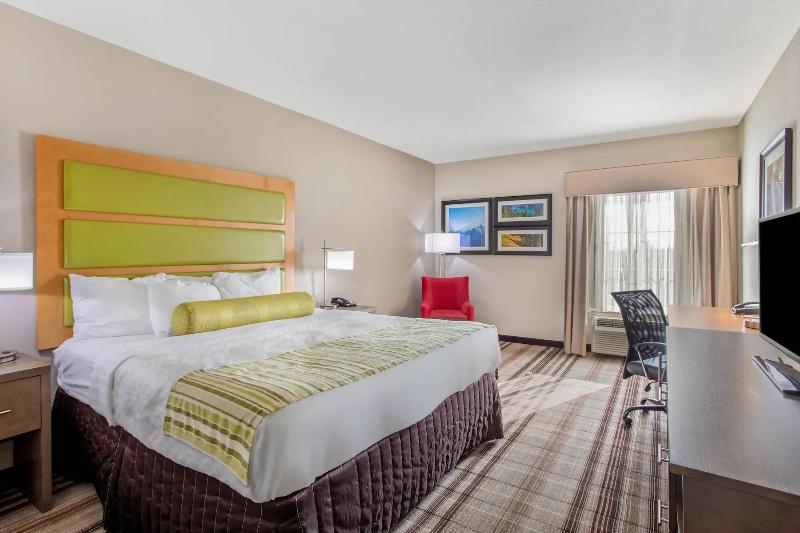 اتاق استاندارد, Best Western Plus Hotel Koeln City