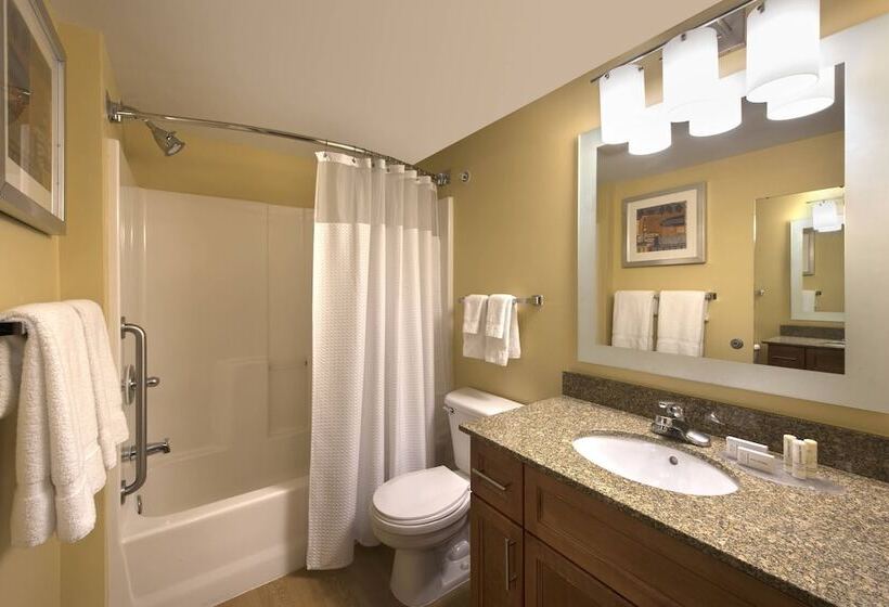 Люкс, Towneplace Suites Denver Tech Center