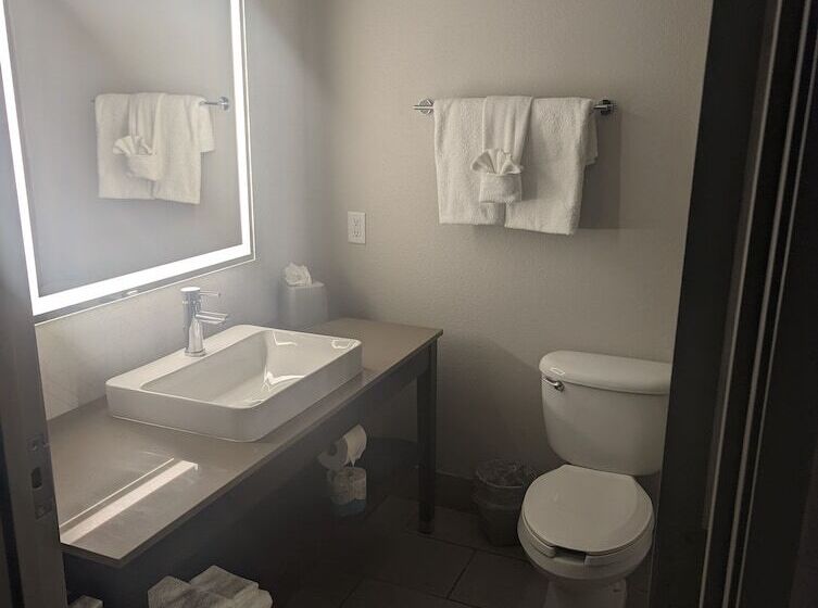 Номер Премиум, Holiday Inn Express & Suites Salt Lake City N  Bountiful