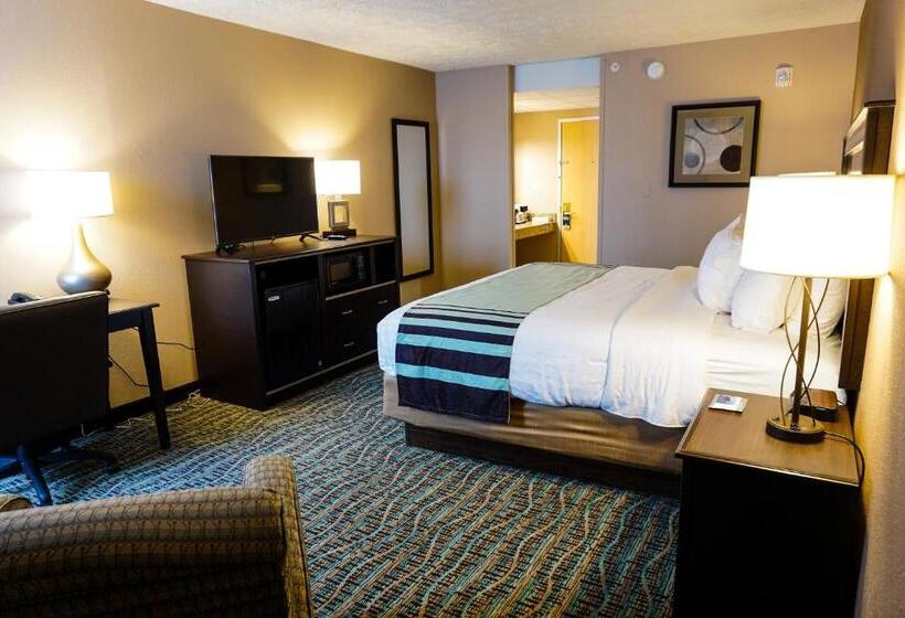 스탠다드 룸 킹사이즈 침대, Boarders Inn & Suites By Cobblestone Hotels   Grand Island