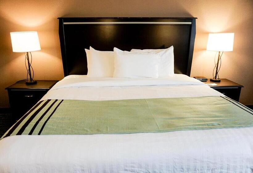 장애인을 위한 킹사이즈 침대 스탠다드 룸, Boarders Inn & Suites By Cobblestone Hotels   Grand Island