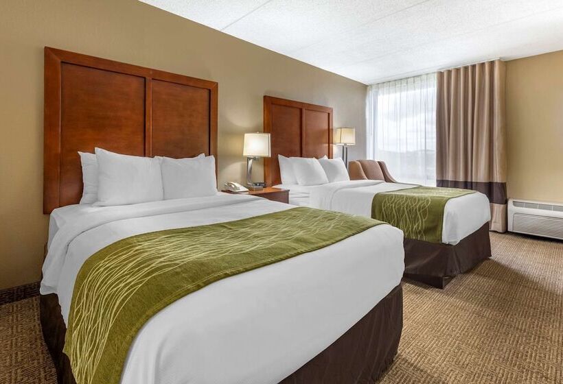 스탠다드 룸 더블 침대 2개, Comfort Inn Cranberry Twp