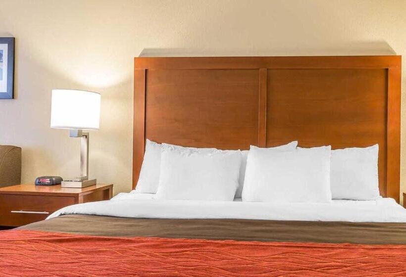 스탠다드 룸, Comfort Inn